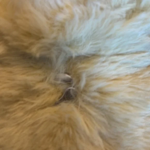 Coperni mini bag - Picture 2 of 6